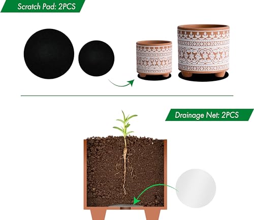 D'vine Dev 2-Pack Terracotta Pots, 4/6 in, Terracotta Bloom, 31-953-F-1 - style: Terracotta Bloom