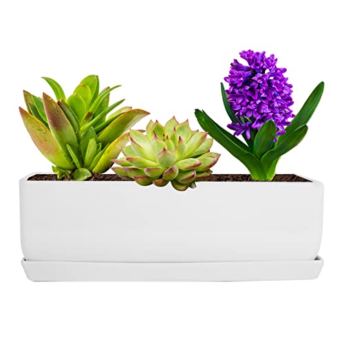 Vencer 14 Inch Rectangular Modern Minimalist Ceramic Succulent Planter Pot - Window Box with Saucer,Office Desktop Potted Stand,White,VF-0173W - color: White, size: 14 Inch