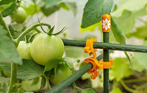 Plant Support Clips for Trellis, Garden Stakes, Wire Fence, Climbing Plants, Indoor Gardening, Hydroponics Systems, and Vines | Durable Gardening Clips (Incognito Green - 100 Pack) - color: Incognito Green