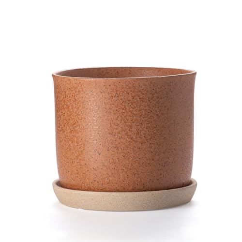 8 Inch Ceramic Plant Pot with Drainage Hole & Separate Saucer - color: Terracotta, size: 8 inch