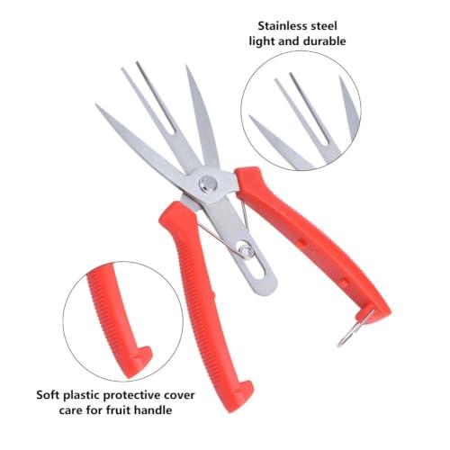 2 Pcs Pruning Shears, Stainless Steel Straight Pointed with Safety Lock, Red Ergonomic Handle,7.7Inch for Flowers Fruit Trees Small Branches Yard Maintenance