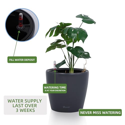 Dexceder 9x8 Self Watering Planter (Slate Gray Matte) - color: Slate Gray, size: 9x8