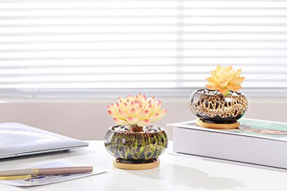 Cute Ceramic Succulent Garden Pots, Planter with Drainage and Attached Saucer, Set of 5 -Plants Not Included (Vivid Colors) - color: Vivid Colors