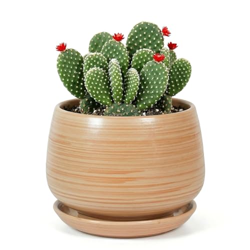 7.5 Inch Flower pots for Indoor Outdoor Plants with Saucer Drainage Leak-Proof Mesh, Ceramic Planter with Gardening Gloves for Succulent and Flower(Khaki Striated) - color: Khaki Striated, size: 7.5 Inch