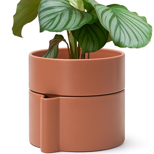 8 Inch Self-Watering Planter Pot with Terracotta Insert, Deep Water Reservoir, and Ceramic-Alike BPA-Free Plastic Planter Pot for Plant, Modern Planter for Houseplants, Terracotta, 53-A-T-3 - color: Terracotta, size: 8 Inch