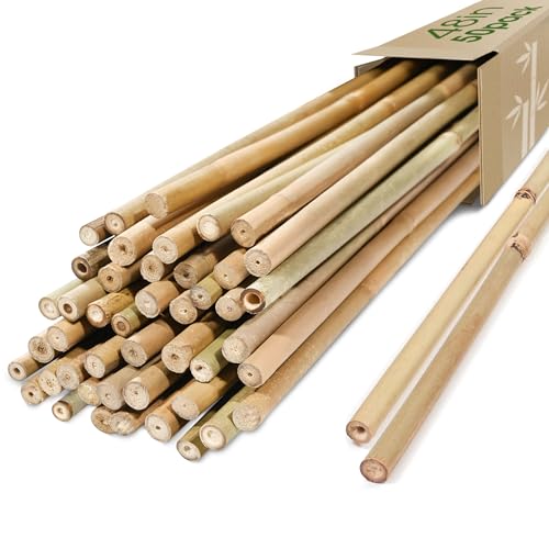 Cambaverd Bamboo Stakes, Plant Stakes 4ft, 50 Pack Bamboo Sticks for Plants - size: 48 Inch