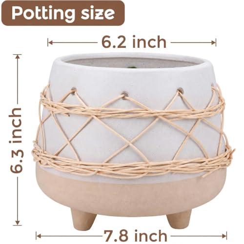 Ceramic Planter Pot for Indoor & Outdoor Plant, Flower - color: Beige Brown