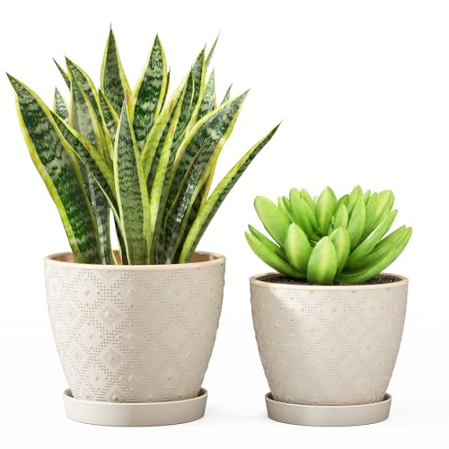 Docrin Ceramic Plant Pots Indoor, 6.6 + 5.5 Inch Planters with Drainage Holes and Saucer for Home/Office - Set of 2 /White - color: Creamy-white