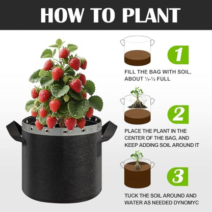 3 Gallon Grow Bags 6 Pack,Premium 3 Gallon Fabric pots for Healthy Plant Growth - Durable and Reusable Garden Bags to Grow Vegetables,Fruits,and Flowers - size: 3 Gal*6