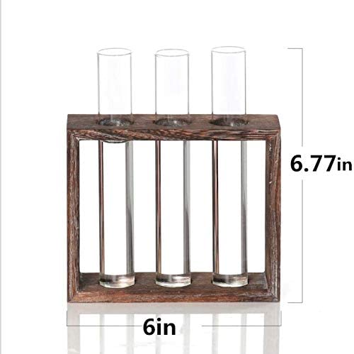 Kingbuy 3 Pack Glass Test Tube Propagation Vase Hydroponic Cuttings Planter - size: 3 Pack