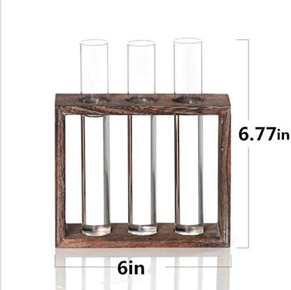 Kingbuy 3 Pack Glass Test Tube Propagation Vase Hydroponic Cuttings Planter - size: 3 Pack