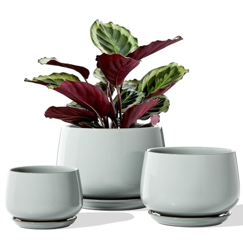 LE TAUCI Plant Pots, 4.1+5.1+6.5 inch, Set of 3, Reactive Glaze Blue Gray - color: Reactive Glaze Blue Gray
