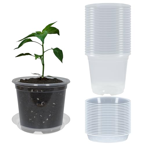 20 Pack 4 Inch Clear Nursery Pots with Drainage and 20 Pack Plant Saucers, Plant Pots for Plants Transparent Potting Containers for Plants Seeding Starter Pot (Clear, 4 Inch) - color: Clear, size: 4 Inch