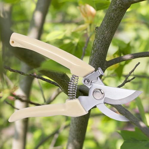 Curved Blade Stainless Steel Pruning Shears for Garden - Heavy Duty Branch Cutter with PP Grip, Ideal for Trimming Plants and Flowers - color: Beige, size: Bend mouth