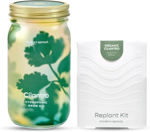 Modern Sprout MasonJar+Replant Kit-Self-Watering Hydroponic System-Cilantro - color: Cilantro, size: Garden Jar + Replant Kit