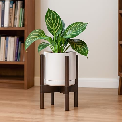 D'vine Dev Ceramic Pot with Walnut Wood Stand, Oatmeal, 8 in, 55-B-Y-8 - color: Oatmeal Pot + Walnut Color Stand, size: 8 Inch