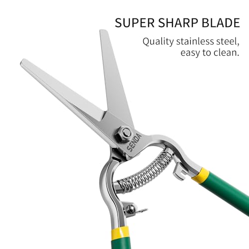 8" Pruning Shears, Dual-Color Coated Garden Scissors with Non-Slip Ergonomic Handle, Bypass Pruning Shears for Gardening, Trimming & Branch Cutting - style: 8'' grape shears