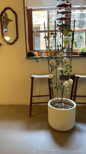 Natural BambooTrellis, 4Feet,3Pack,GUANGYE,Fan-Shaped Plant Support Trellis - style: 4Feet,3Pack
