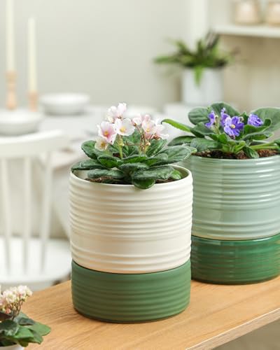 Fayoula Self Watering Pots for Indoor Plants, 6 Inch Ceramic Self Watering Plant Pot, Planter Pot with Wick Rope and Drainage Hole for African Violet Succulent Herbs (White Matte) - color: White Matte