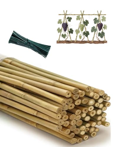 5 Ft Bamboo Stakes with 100 Twist Ties Natural Bamboo Garden Stakes for Dahlias Cucumber Grapes Pole Beans Trees Potted Dahlia Flowers and Climbing Plants - Pack of 60 - size: 58 INCH-60 PACK & Ties