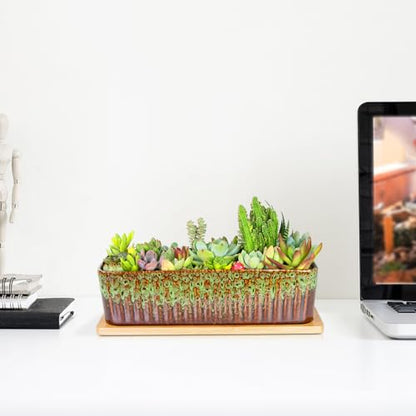 Succulent Pots, 12'' Long Rectangle Planters with Tray, Windowsill Planter - color: Green