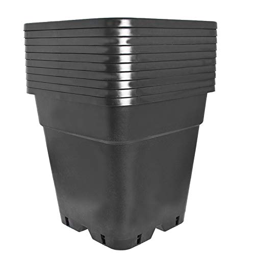 10-Pack 3 Gallon Square Plant Nursery Pot Grow Pots Black Nursery Container - size: 3 Gallon