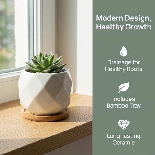 Jucoan 6 Pack Ceramic Succulent Planter Pot with Bamboo Tray, 4 Inch Small White Diamond Shaped Cactus Herb Flowers Planter with Drainage Hole for Indoor Home Office Decor