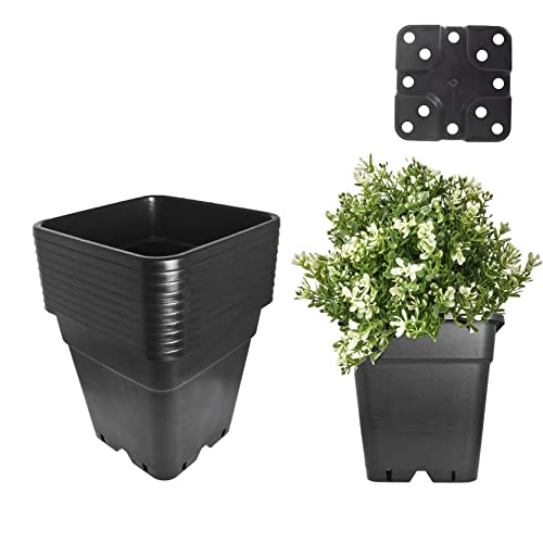 10-Pack 7 Gallon Square Plant Nursery Pot Black Nursery Container (7 Gallon) - size: 7 Gallon