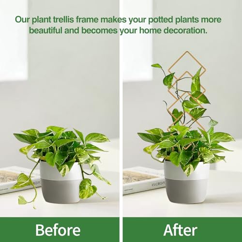 Wellsign 16inch Indoor Plant Trellis for Potted Plants - size: Gold-Metal-Trellis01