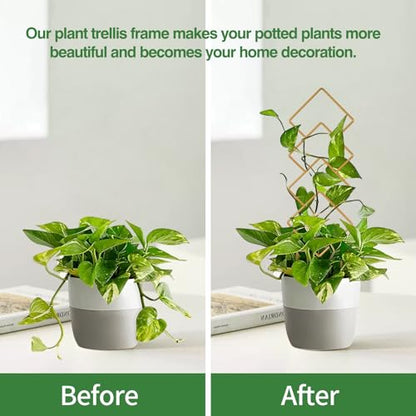 Wellsign 16inch Indoor Plant Trellis for Potted Plants - size: Gold-Metal-Trellis01
