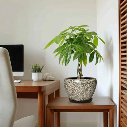 Ceramic Plant Pots, 8 Inch Planters Indoor, White Leopard - color: White Leopard, size: 8 Inch