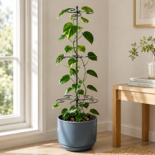 GOOXIM Monstera Support 24" Heavy Duty Black Plant Stakes for Indoor Growth - color: Black