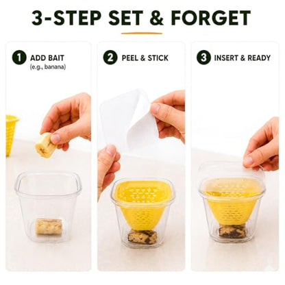 Fruit Fly Traps for Indoors, DIY Fruit Fly Traps - 4X Reuseable Funnel Traps + 24x Clear Sticky Trap - No-Mess, Uses Natural Bait - size: 4 Fruit Fly Trap + 24PCS Sticky Trap