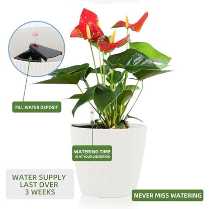 Dexceder 13x12 Self Watering Planters Indoor (2 Pack, White) - color: White, size: 13x12