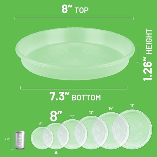 MUDEELA 6 Pack of 8 inch Plant Saucer, Durable Plastic Plant Trays for Indoors, Clear Plastic Flower Plant Pot Saucer, Made of Thicker, Stronger Plastic, with Taller Design - size: 8" - 6 Pack