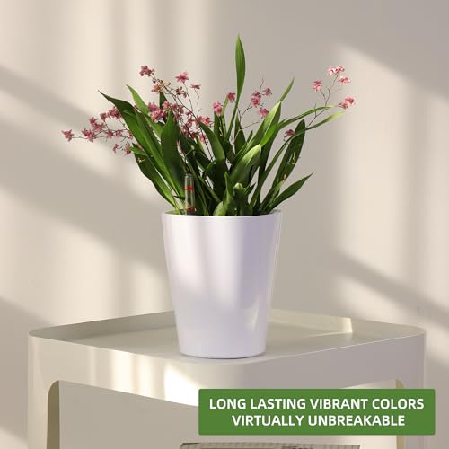 Dexceder 6x7 Self Watering Planter (White) - color: White