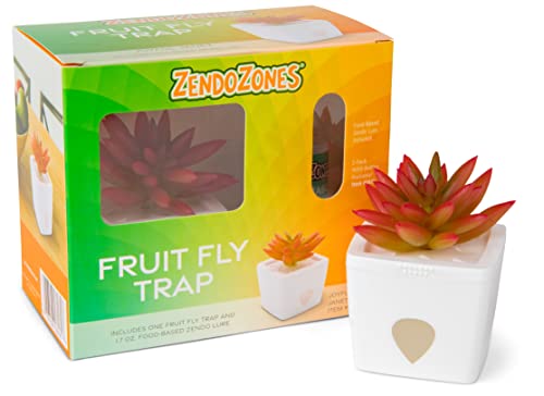 ZendoZones Succulent Fruit Fly Trap – Red Design with White Base – Eco-Friendly Indoor Fruit Fly Control – Easy-to-Use Decorative Trap - size: 1-Pack