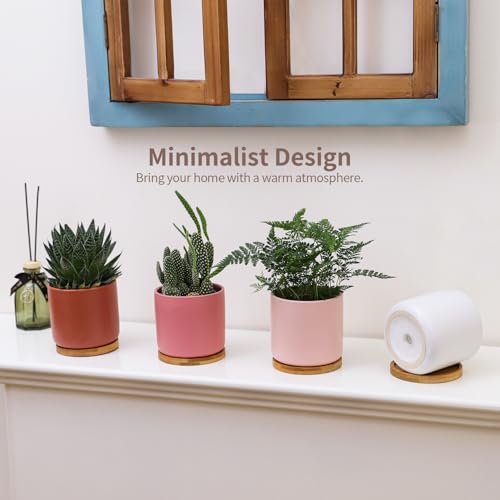 4" Ceramic Plant Pots with Drainage Holes & Trays Multicolor Set of 4 - color: Multi-colors