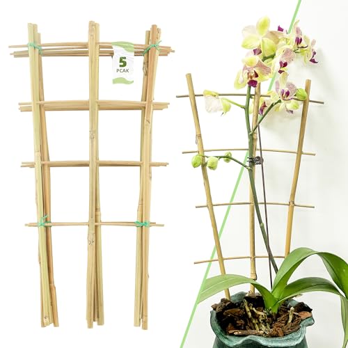 16Inch 5Pack Bamboo Trellis for Climbing Plants, Garden Ladder Trellis for Potted Plants Indoor, Fan Shaped Small Plant Support Trellis for HousePlants Ivy Vine Monstera 3-4 - color: Fan-Shaped, size: 5 PACK-16 inches