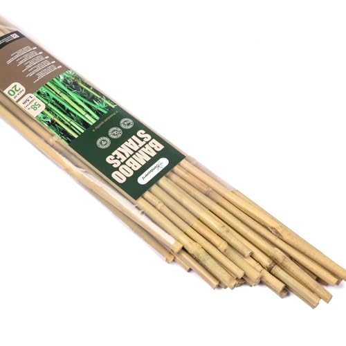 Cambaverd Bamboo Stakes for Plants, 20 Pack Plants Stakes 5 Feet(58in) - size: 58 IN-20 PACK