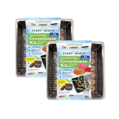Seed Starting Tray Kit | 36 Cell | 11 x 11 | for Starting Vegetable Seeds, Flower Seeds & Herb Seeds | Indoor Grow Kit for Deep-Rooted Seedlings