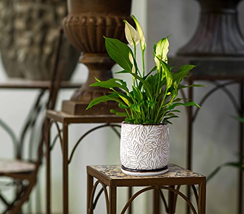 D'vine Dev Embossed Leaves Ceramic Planter, 6 in, Smoked White, 27-A-X-1 - color: Smoked White, size: 6 Inch