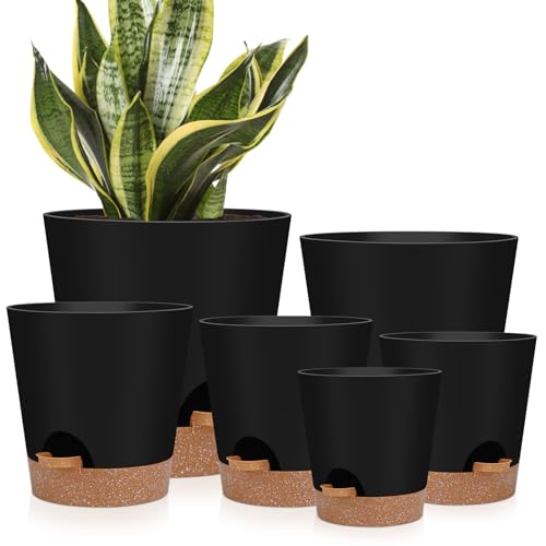 YNNICO Indoor Self Watering Planters with Drainage Holes and Saucers, 8, 7, 6.5, 6, 5.5, 5 Inches, Black, 6 Pots - color: Black, size: 8+7+6.5+6+5.5+5 inch