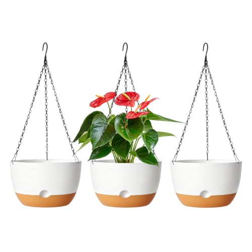 Hanging Planters, 3 Pack, Self-Watering, 10 Inch, White - color: White, size: 10 Inch