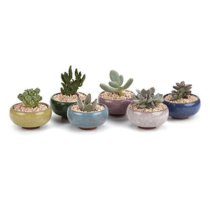 T4U Mini Succulent Pots, Small Shallow Ceramic Pots, Retro Gift Set of 6 - size: Small