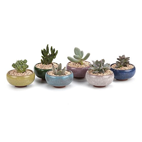 T4U Mini Succulent Pots, Small Shallow Ceramic Pots, Retro Gift Set of 6 - size: Small