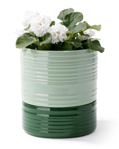 Fayoula Self Watering Pots for Indoor Plants, 6 Inch Ceramic Self Watering Plant Pot, Planter Pot with Wick Rope and Drainage Hole for African Violet Succulent Herbs (Green Light) - color: Green Light