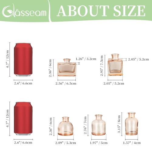Glasseam Champagne Mini Bud Vases, 5 Pcs Small Glass Vases for Centerpieces - color: Champagne, size: 5Pcs- Mini Vases