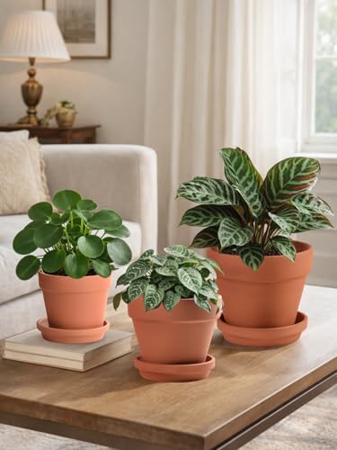 INGOFIN Terracotta Pots Set with Saucer - 5/6/7 inch Ceramic Clay Planters with Drainage Hole, Garden Flower Succulent Pots with Tray for Indoor Outdoor Plants, Set of 3 - size: 5/6/7 inch -3 pcs