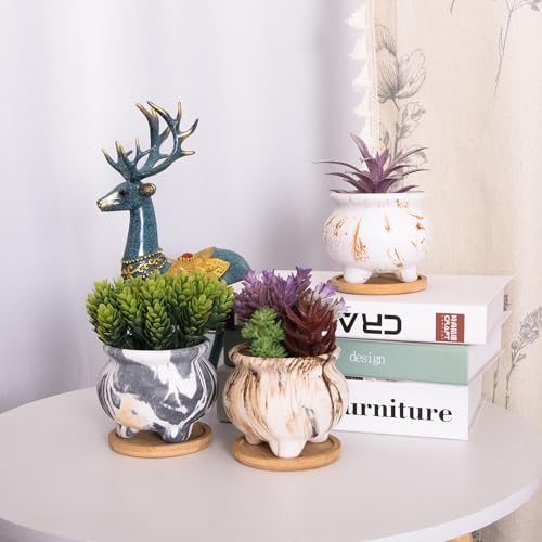 Succulent Pots, 3.8 Inch Small Plant Pot with Drainage Trays Set of 6 - color: Marble 3